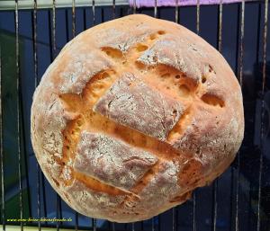 Buttermilchbrot5